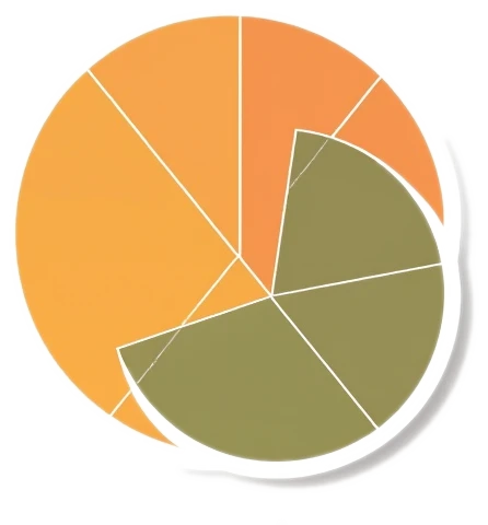 Woodworm Treatment Calculator